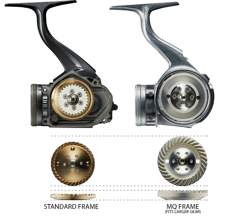 Daiwa Certate SW